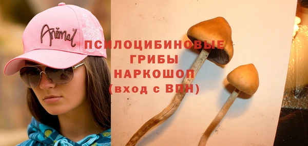 ГАЛЛЮЦИНОГЕННЫЕ ГРИБЫ Армянск