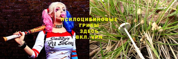 ГАЛЛЮЦИНОГЕННЫЕ ГРИБЫ Армянск