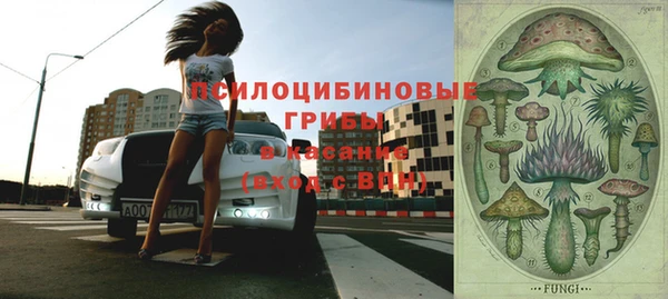 ГАЛЛЮЦИНОГЕННЫЕ ГРИБЫ Армянск